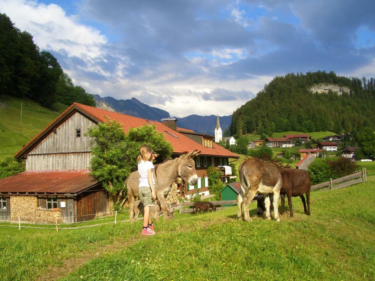 Apartament Haus Willi Oberstdorf Zewnętrze zdjęcie